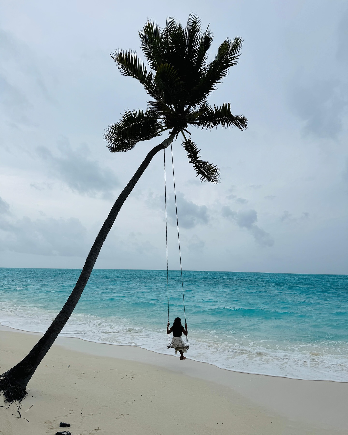 Guest on a rope swing under a palm tree by the Lakshadweep lagoon